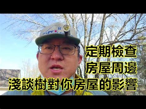 房子旁邊有樹|如何判斷住宅旁“大樹”是吉還是兇